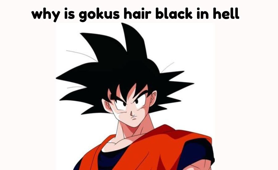 why is gokus hair black in hell