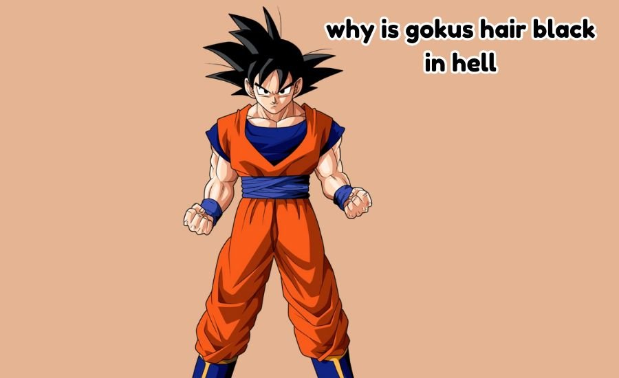 why is gokus hair black in hell