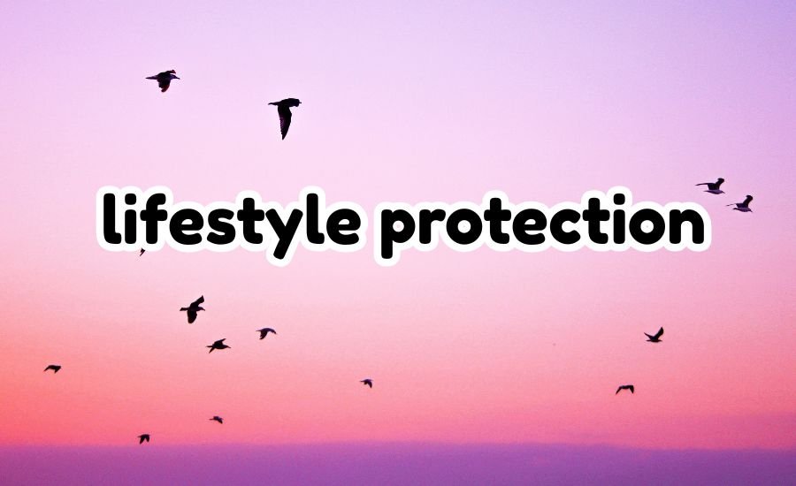 lifestyle protection